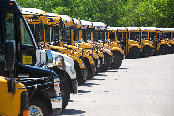 Buses in a line ready for a field trip